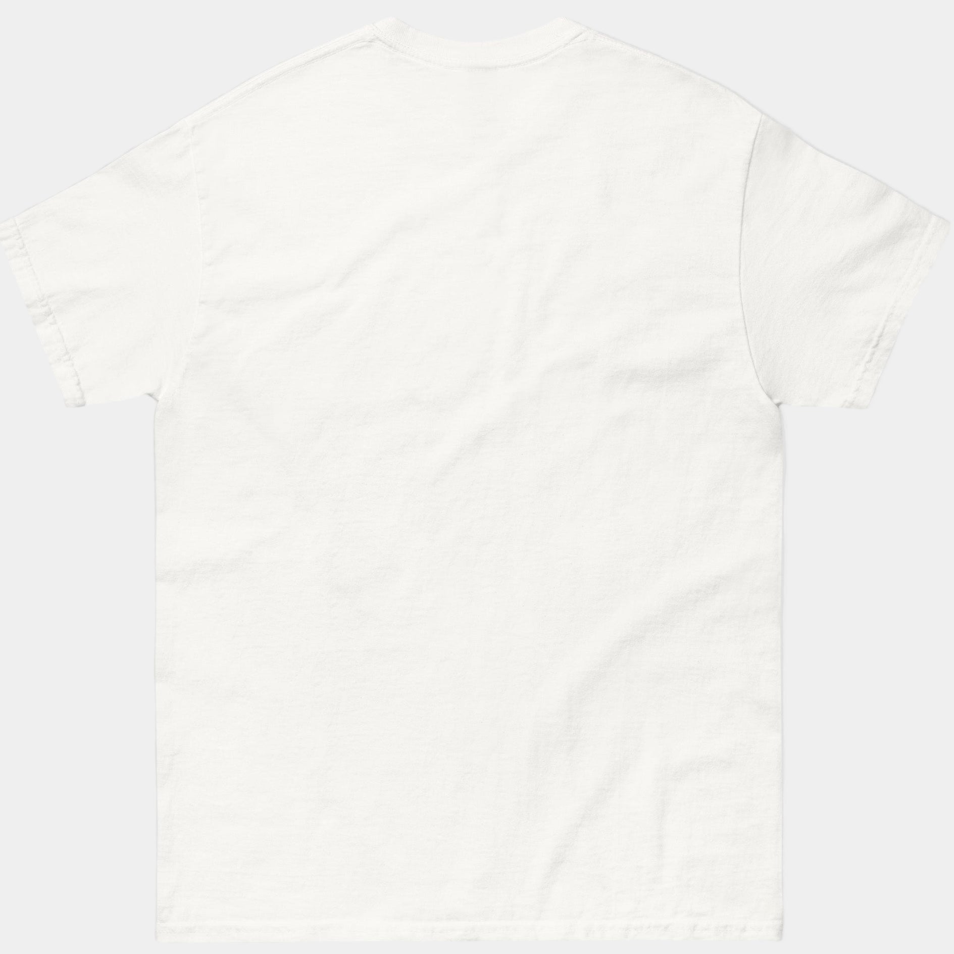 Plain white t-shirt on a light gray background