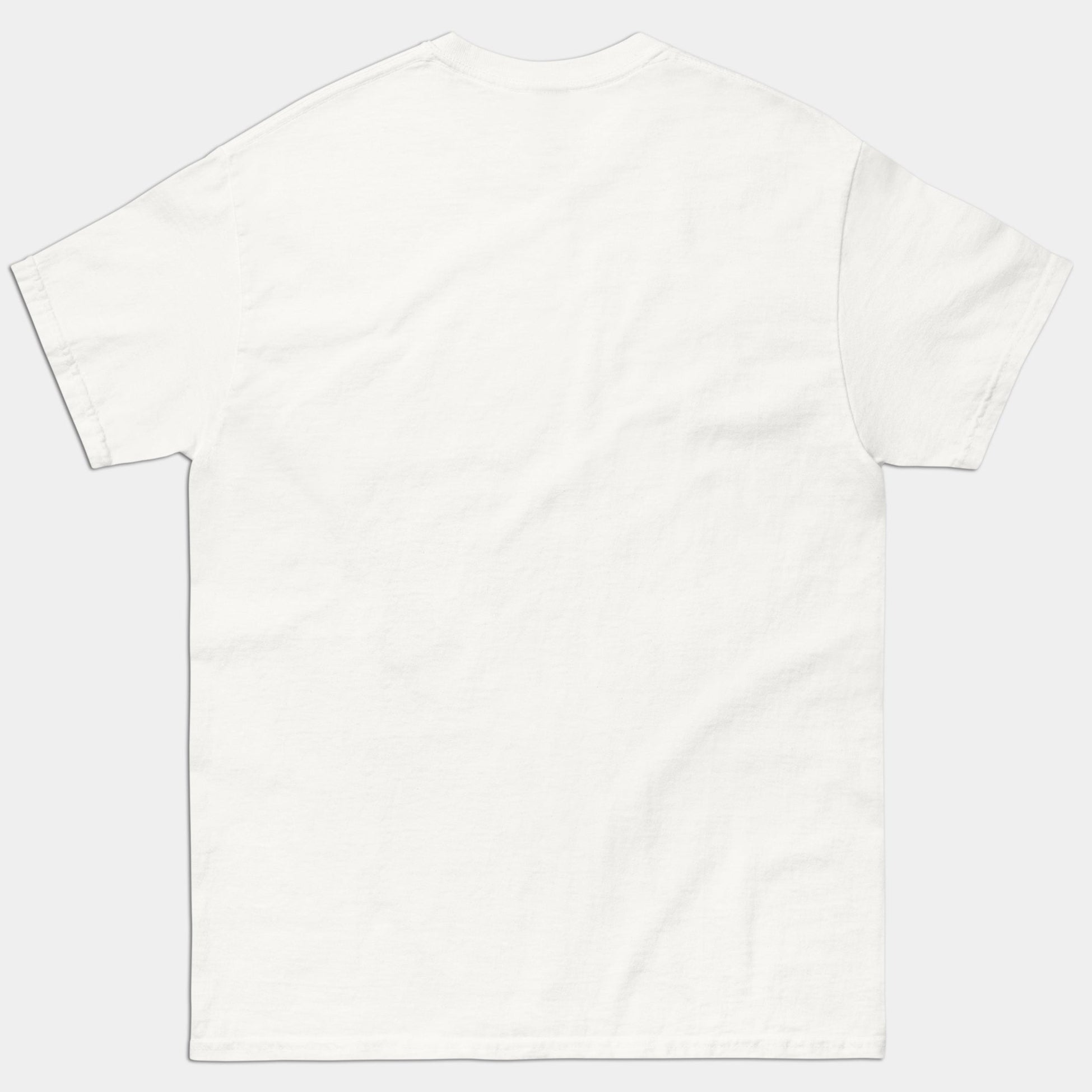 Plain white t-shirt on a light gray background